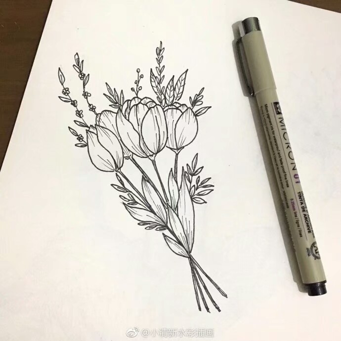 花卉线描