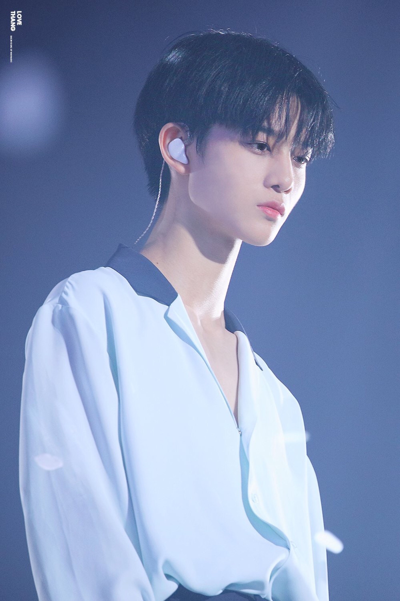 裴珍映 baejinyoung wanna one