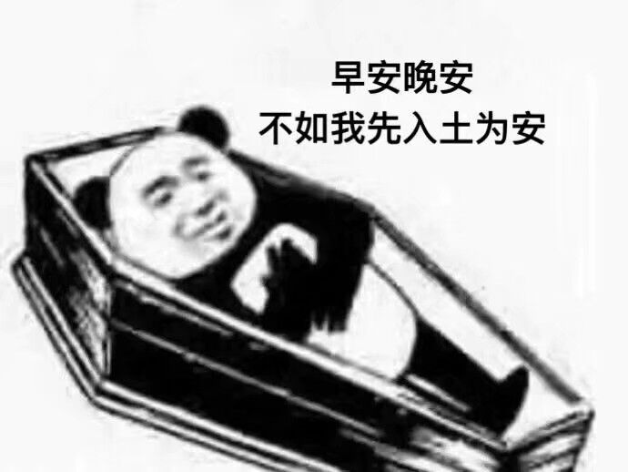 不如我先入土为安