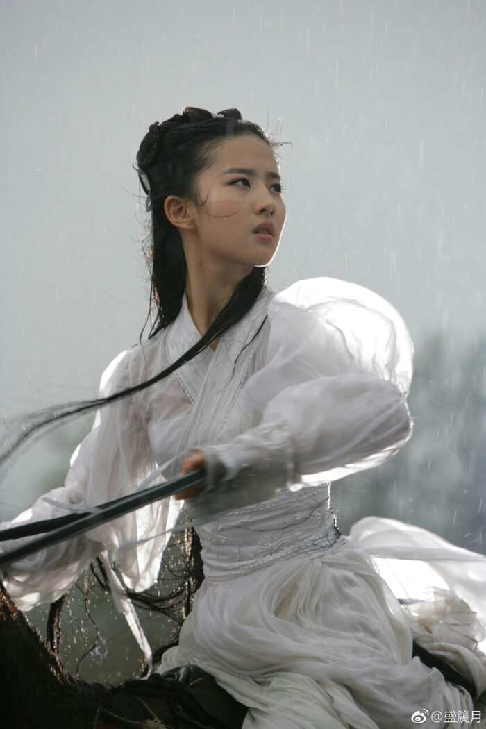 小龙女 2006电视剧《神雕侠侣》雨霖铃 风飒飒 符合了所有对侠女的