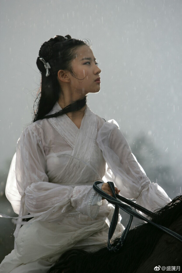 小龙女 2006电视剧《神雕侠侣》雨霖铃 风飒飒 符合了所有对侠女的