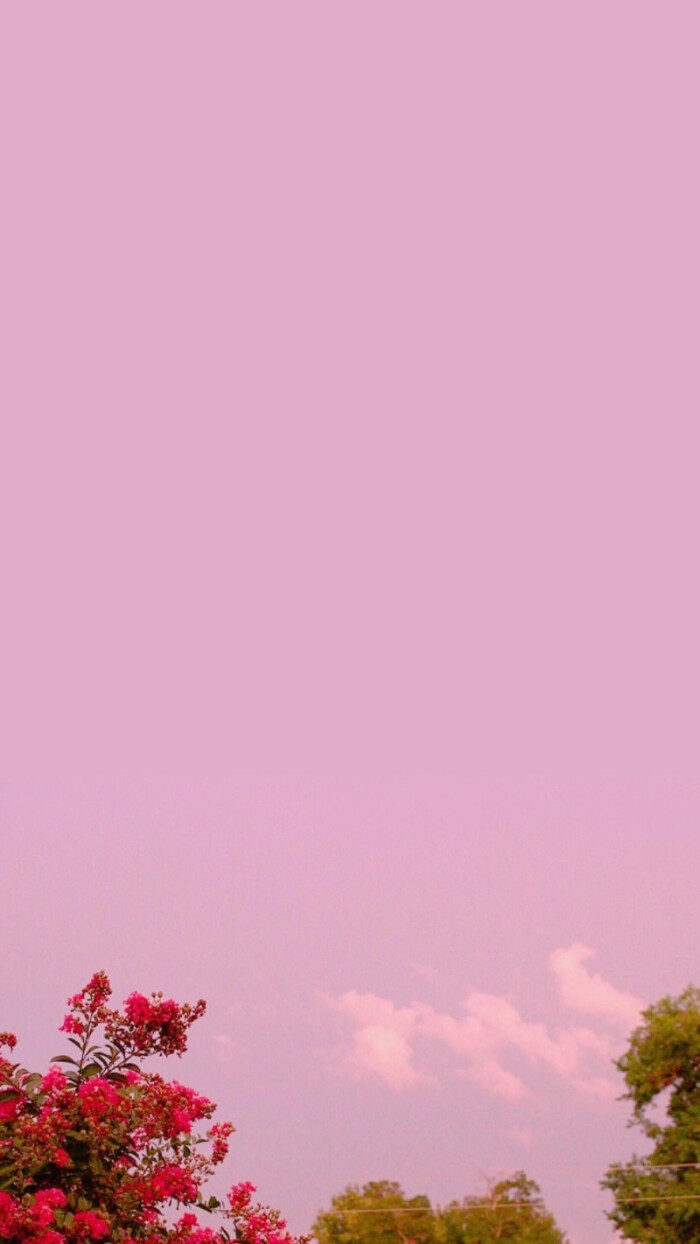 700_1244 竖版 竖屏