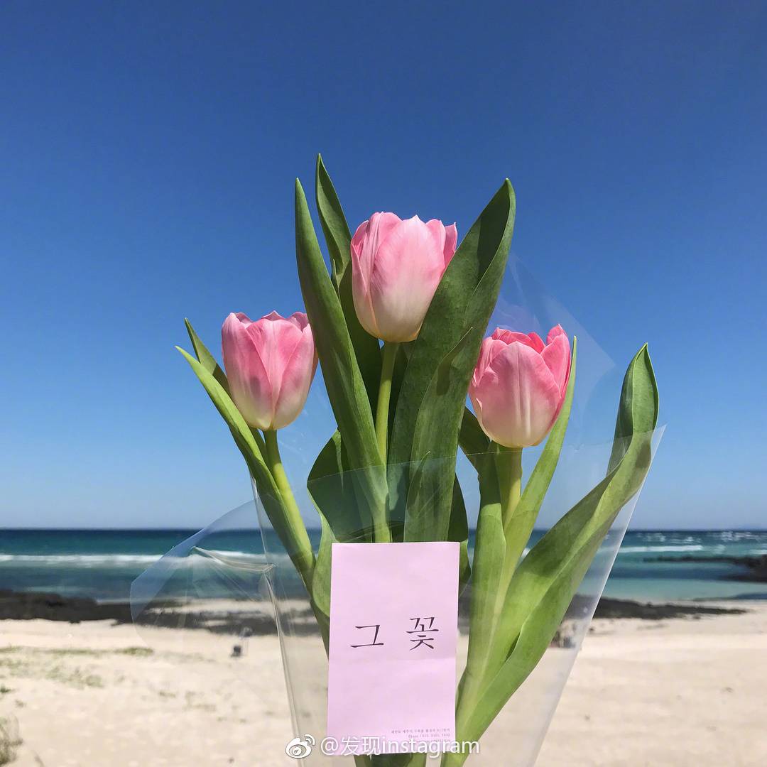 送你花( " )