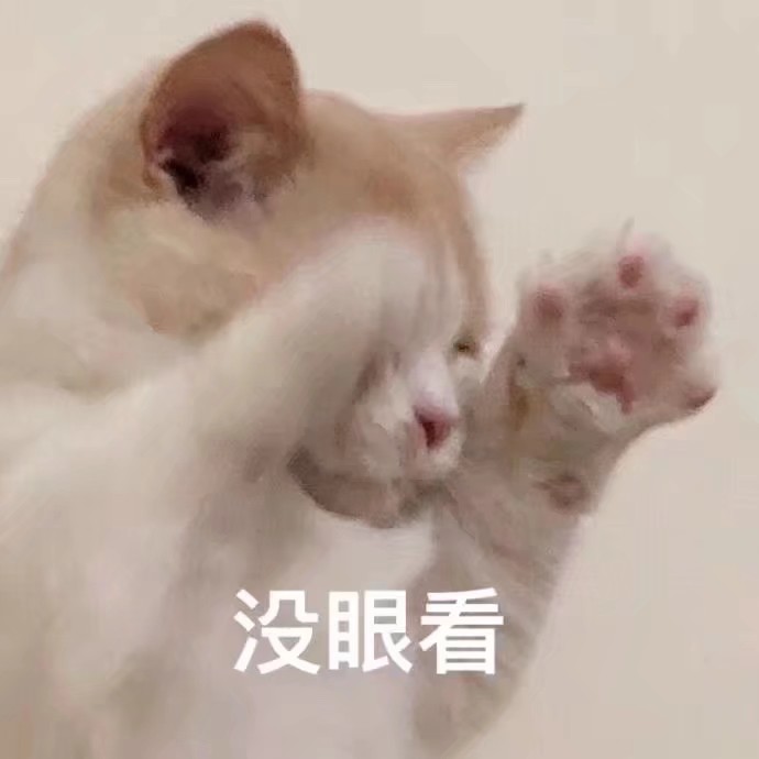 猫表情包可爱