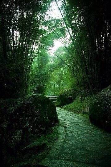 "曲径通幽处,禅房花木深."出处唐·常建《题破山寺后禅院》