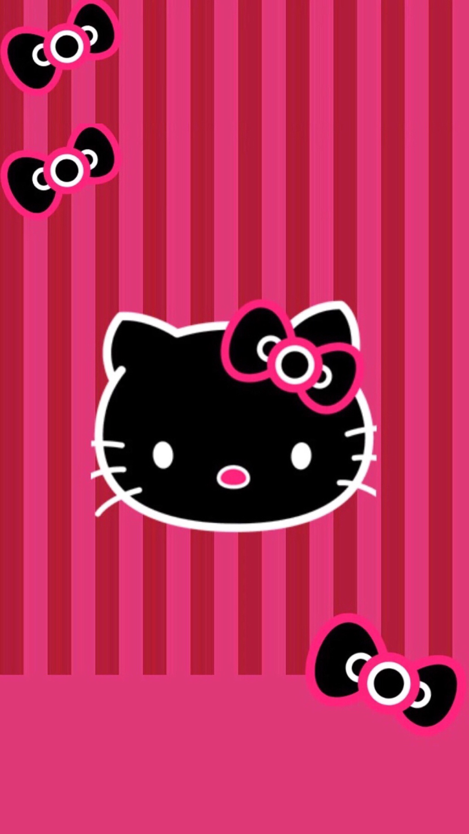 kitty猫