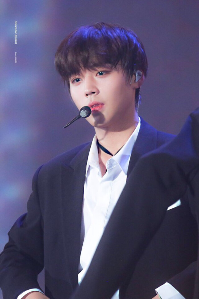 朴志训 parkjihoon wanna one