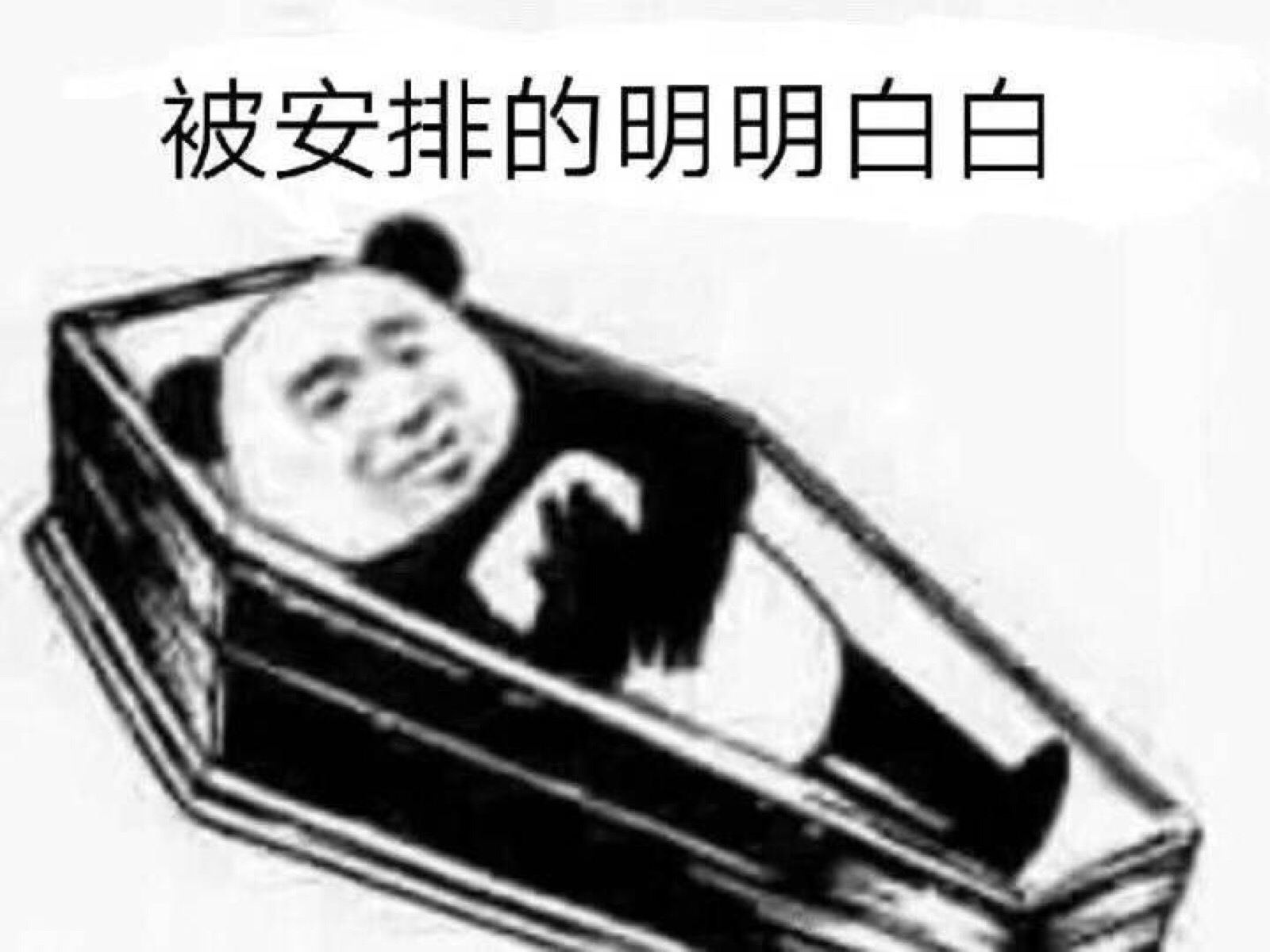 被安排的明明白白