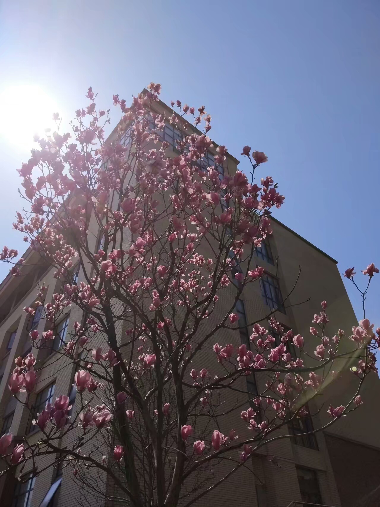 贵州师范大学花溪校区