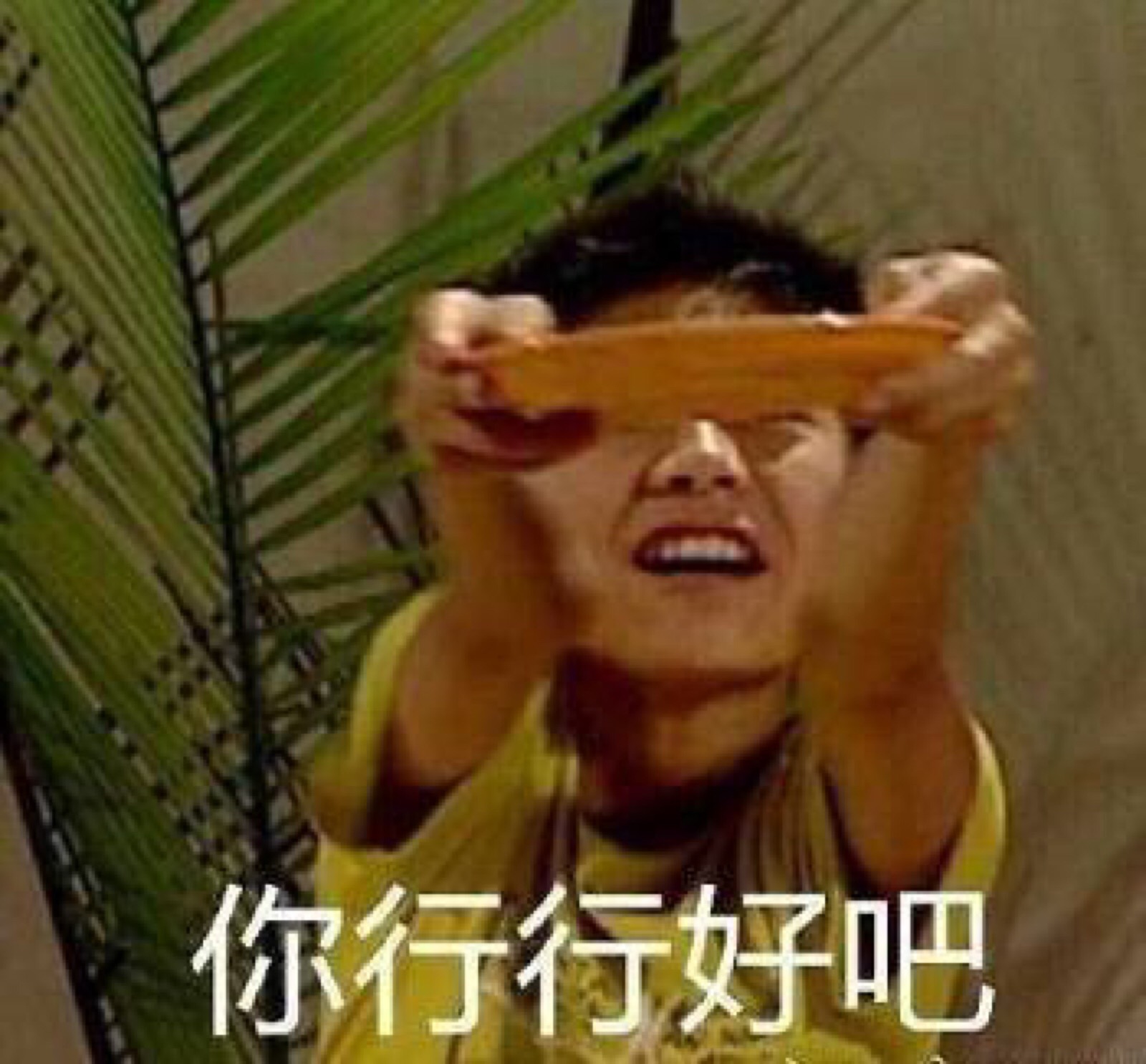 要钱专用表情包