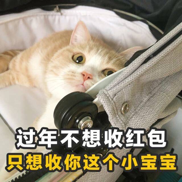 沙雕图之猫咪土味儿情话
