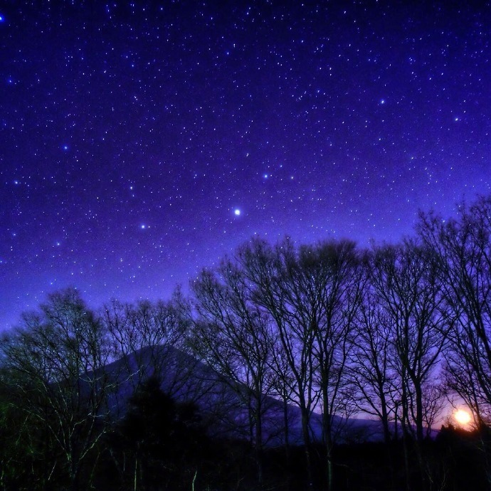 星光不问赶路人,时光不负有心人。 大概没…-堆