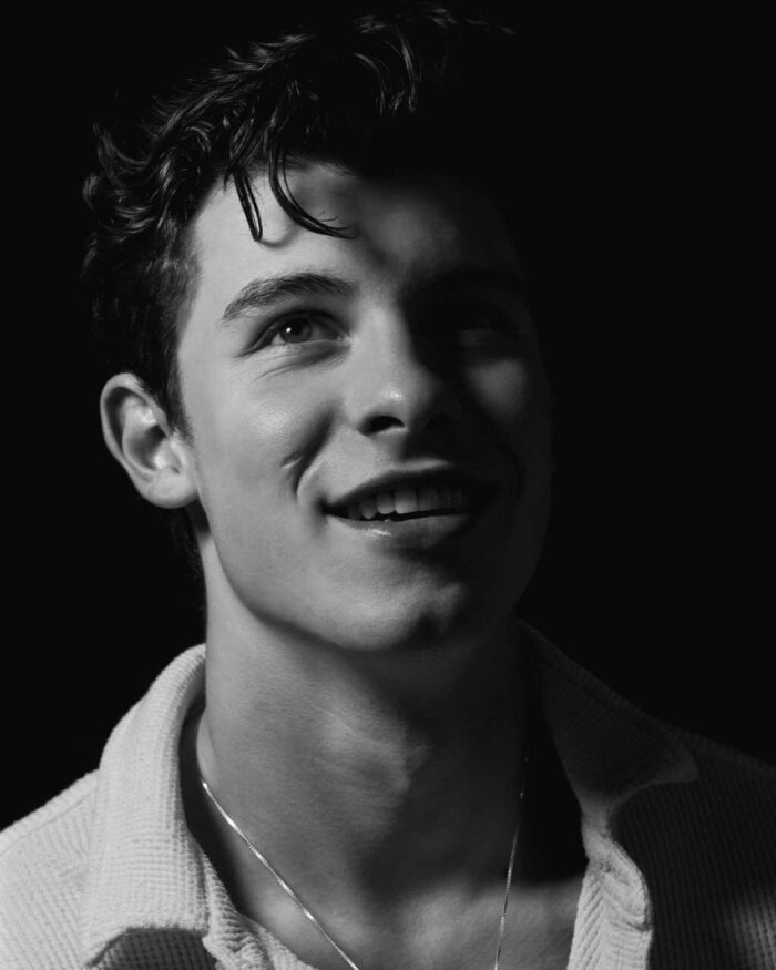 shawn mendes