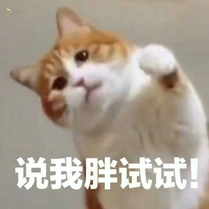 小咪表情包