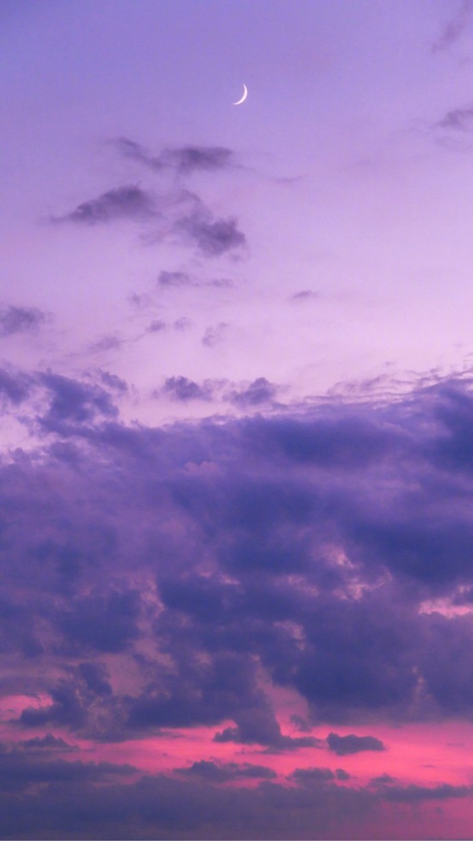 紫色紫色 浪漫的梦幻 壁纸 图片 头像 背景图