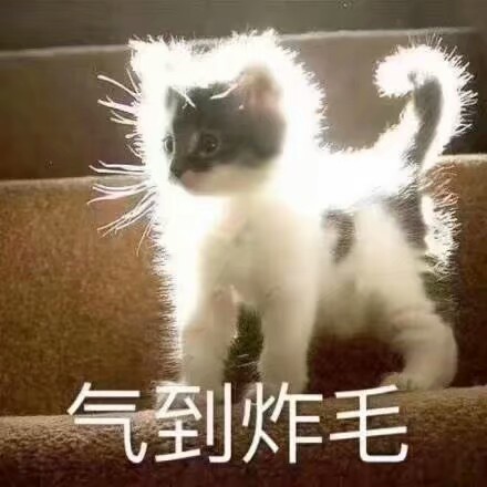 搜图不易希望小哥哥小姐姐们动动小爪收藏 赞 爱你们呦蟹蟹 表情包