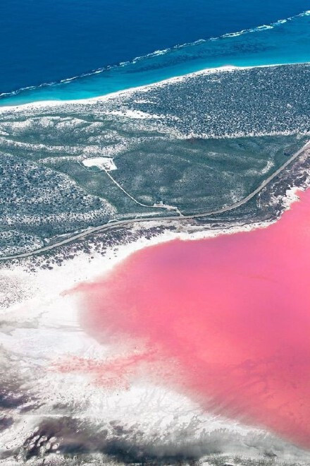 位于澳大利亚的lake hillier,来自幻想世界的粉色玫瑰湖,美哭