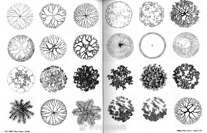 一波景观树平面树的画法~来源网络,仅供分享交流~(转)via @建筑手绘