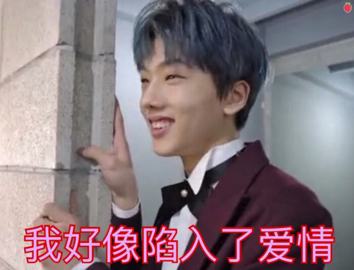 追星表情包