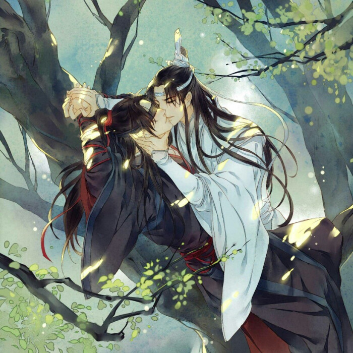 魔道祖师忘羡