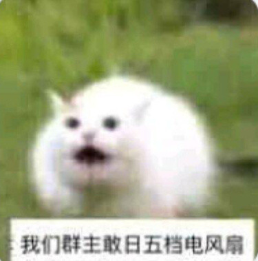 哈哈哈哈哈哈哈哈你们要的那个群主表情包!