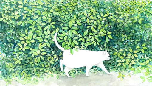 日本插画师midori yamada喜欢画猫,她笔下的喵星人总是慵懒怡然,摆着