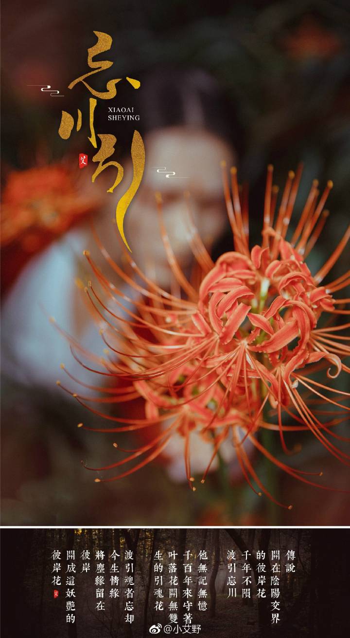 「忘川引」 #胭脂魅# 传说开在阴阳交界的彼岸花千年不陨渡引忘川他无