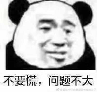 熊猫头表情包