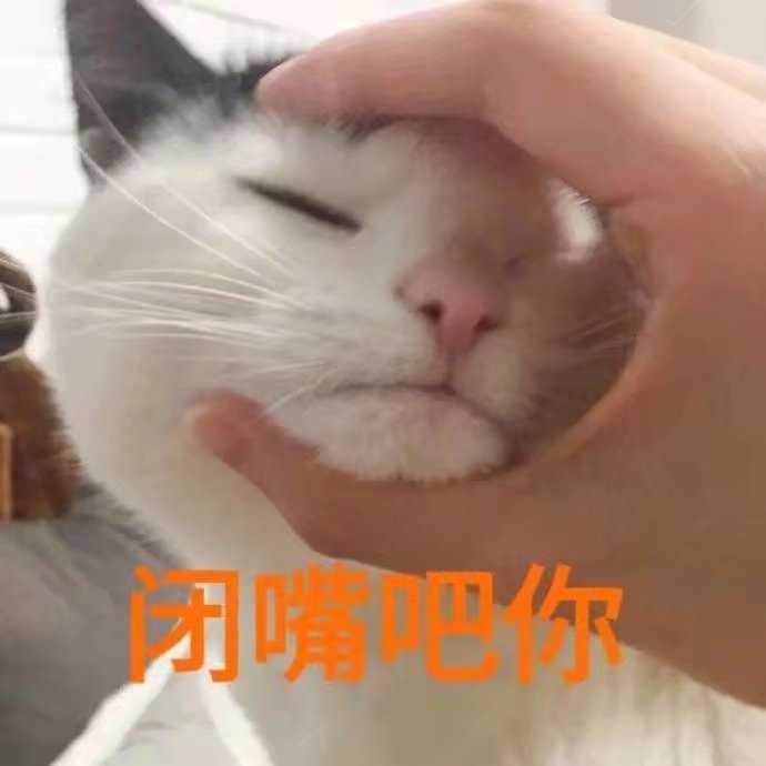 猫咪狗狗老鼠鸭子表情包可爱蠢萌套路小表情大表情打电话表情包小猪