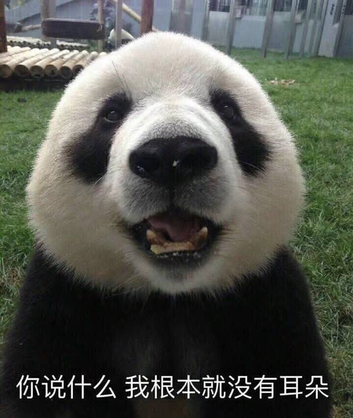 拿图点赞侵权立删高糊表情包 喵咪 熊猫头 gif 金馆长 斗图 文字系列