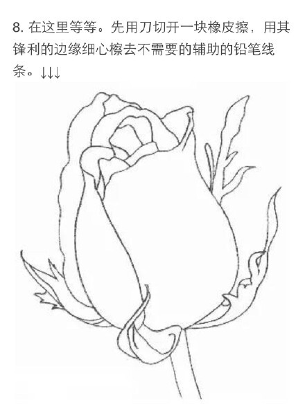 教你如何快速用铅笔画一朵玫瑰花 (转) @美术绘画教程