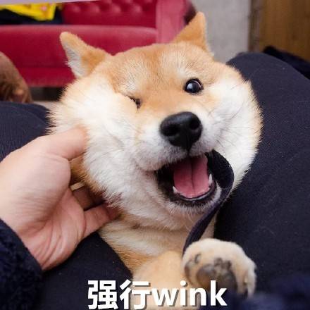 强行wink