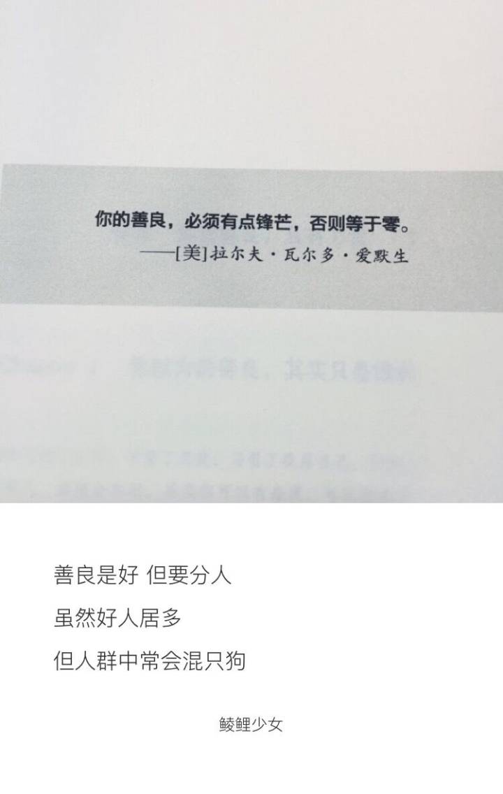好的句子最会感动人心