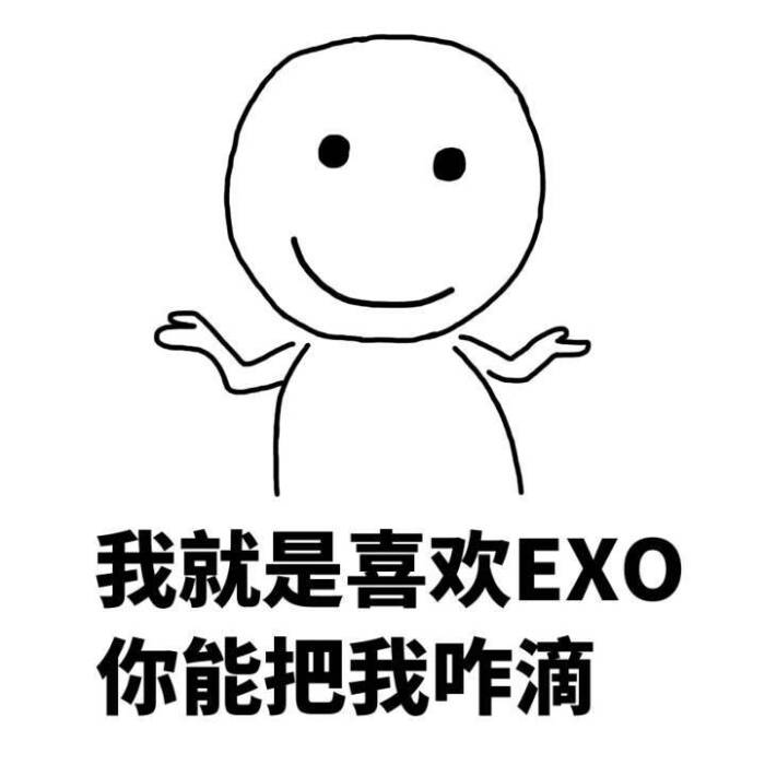 张艺兴 边伯贤 金钟大 朴灿烈 金钟大 金钟仁 吴世勋 exo exo–l 爱丽