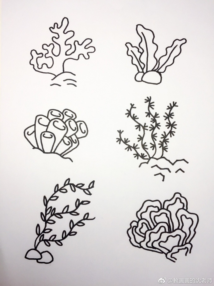 设计秀海底世界大海小鱼珊瑚简笔画67