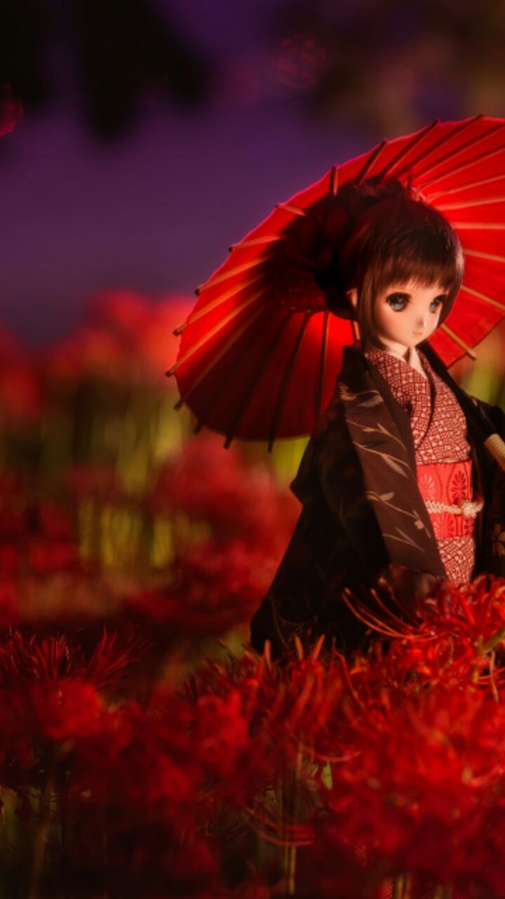 彼岸花 
