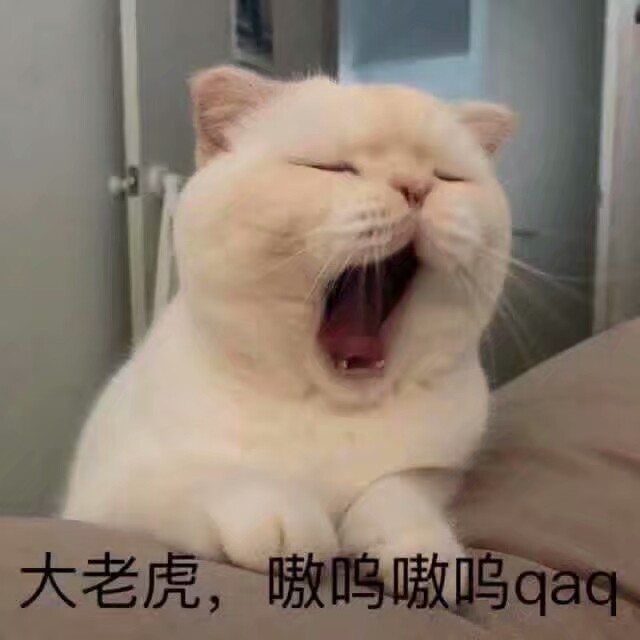 小可爱表情包