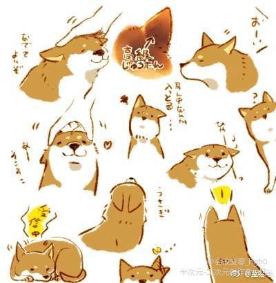 萌萌哒柴犬绘画教程