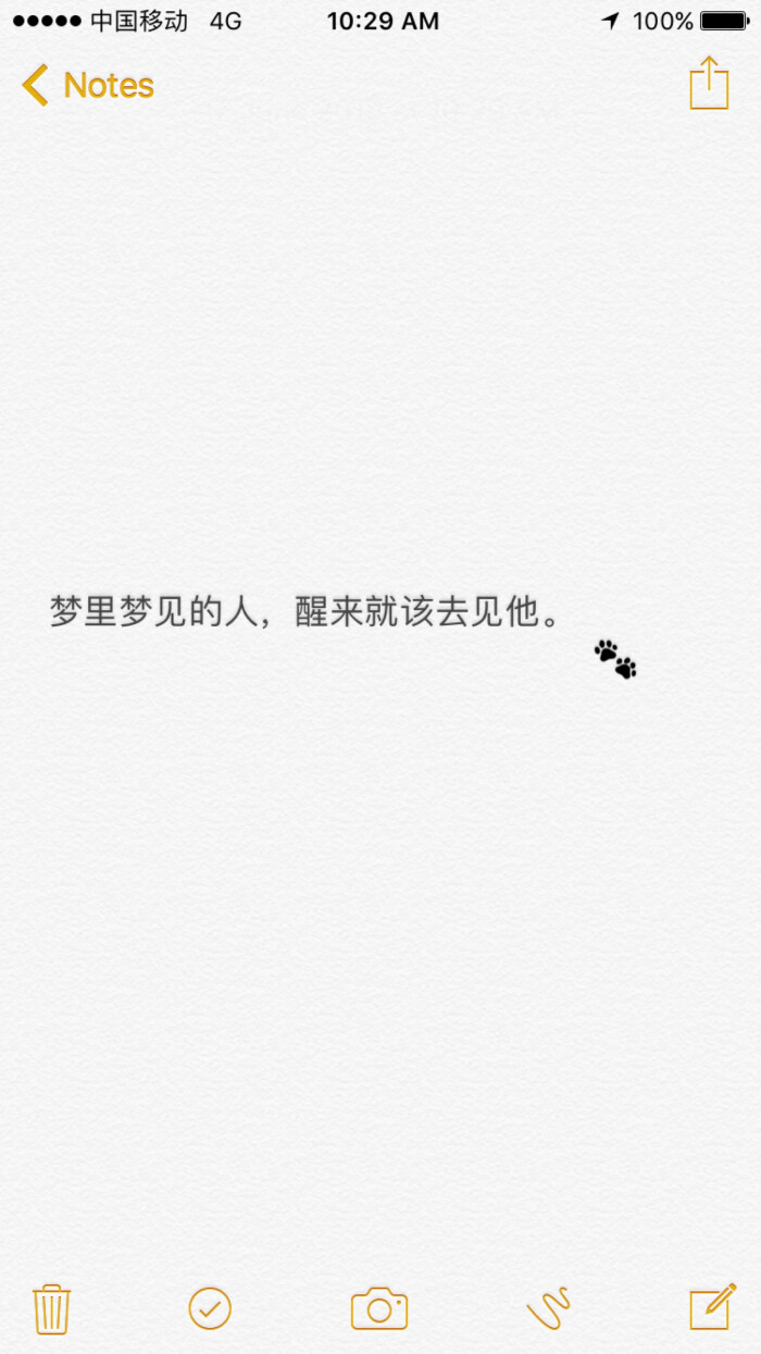 我梦见你了.