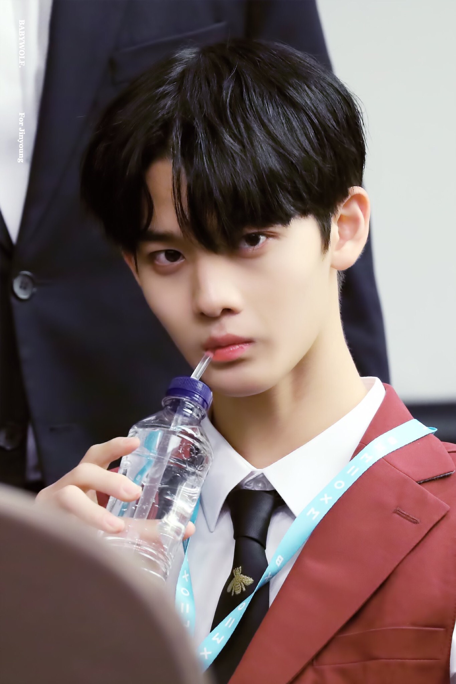 裴珍映 baejinyoung wanna one