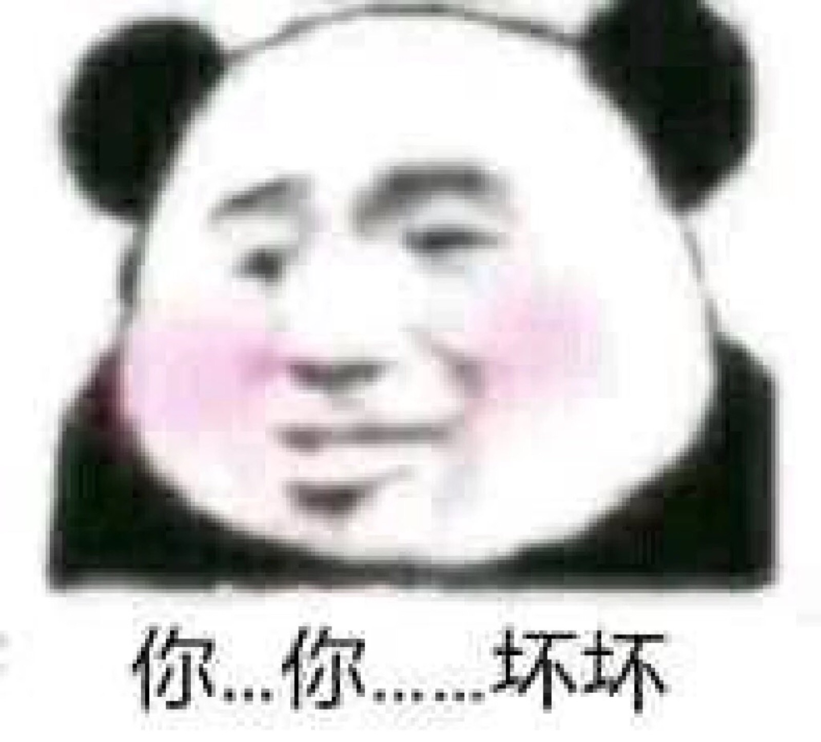 表情包啊表情包