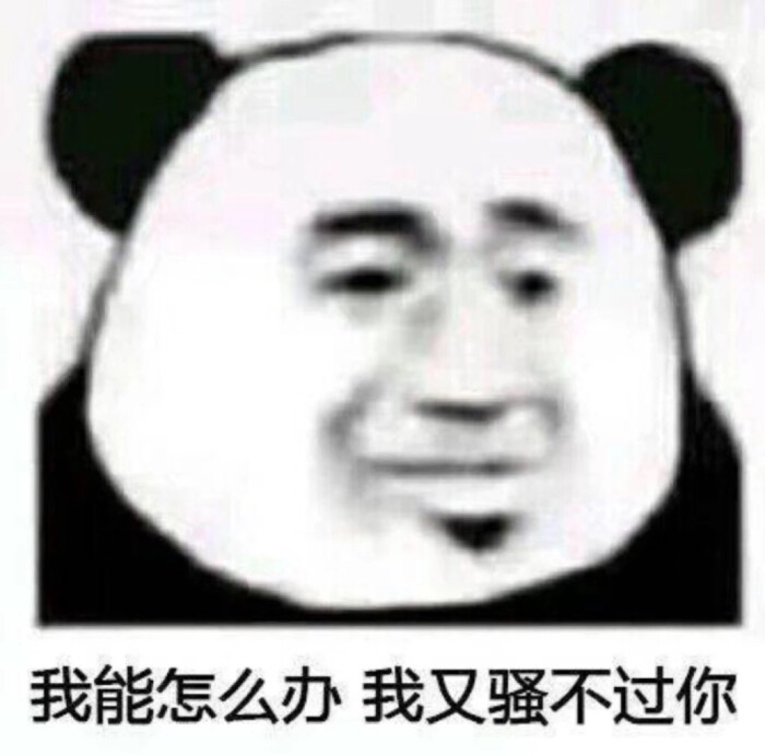 表情包啊表情包