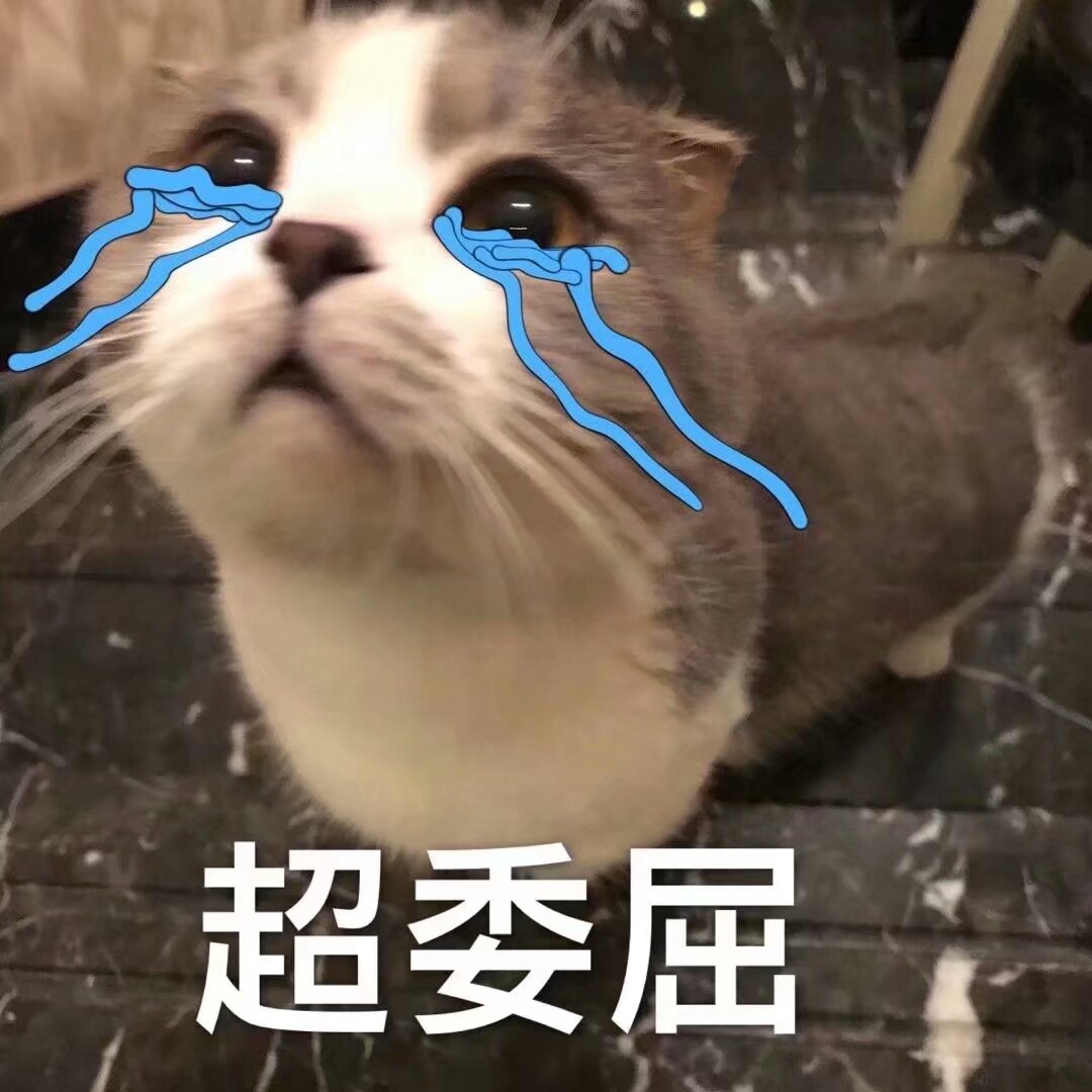 小动物表情包
