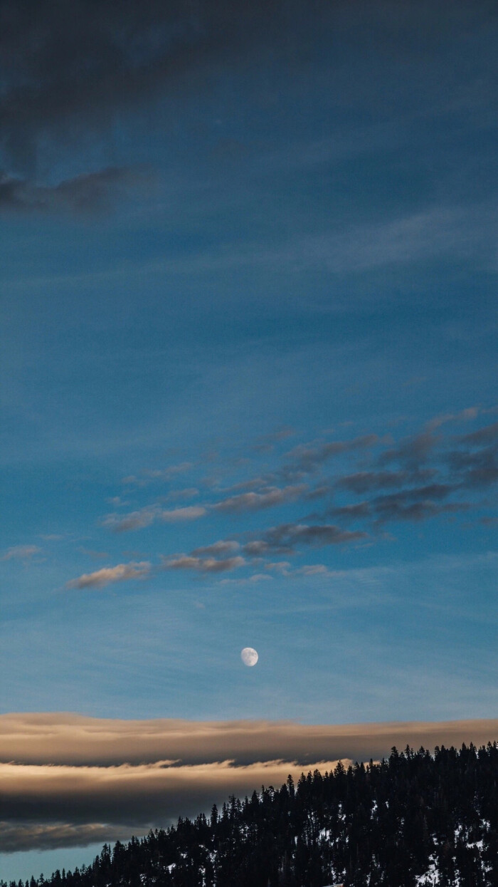 iphonex壁纸 锁屏壁纸 卡通 星空 风景 简约 欧美 少女 动漫 古风