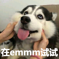 二哈表情包