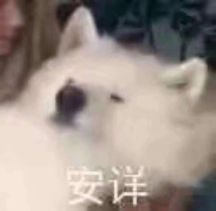 安详表情包