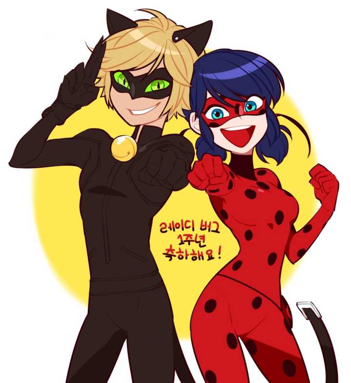 瓢虫少女,ladybug,chat nior