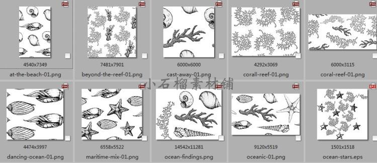 北欧夏天黑白线稿海洋生物珊瑚海星海螺矢量插画设计素材ai330
