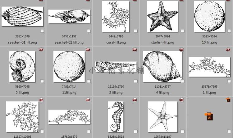 北欧夏天黑白线稿海洋生物珊瑚海星海螺矢量-堆糖,美好生活研究所