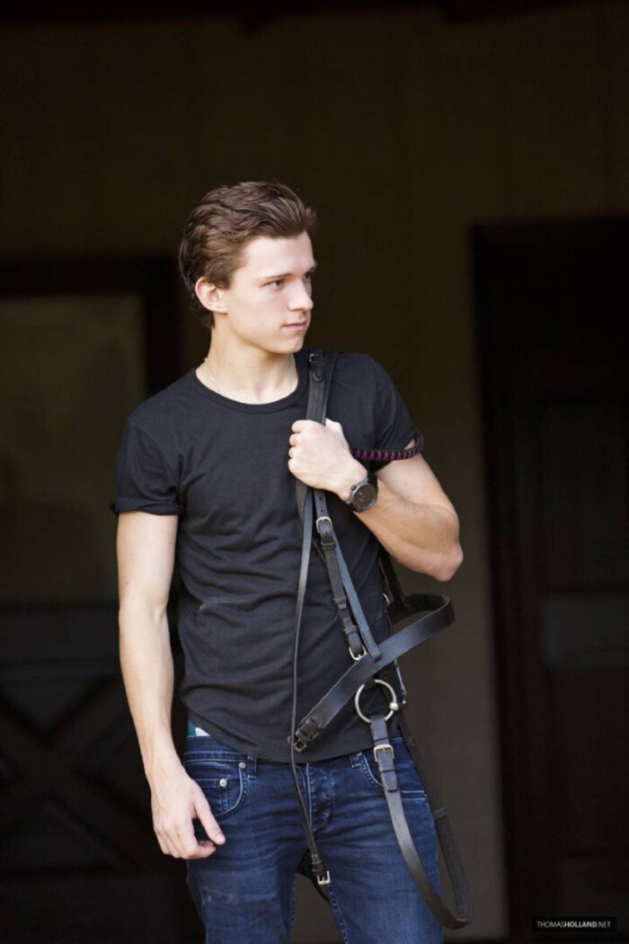 tom holland